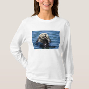 Kalifornischer Seeotter (Enhydra lutris) putzt sic T-Shirt