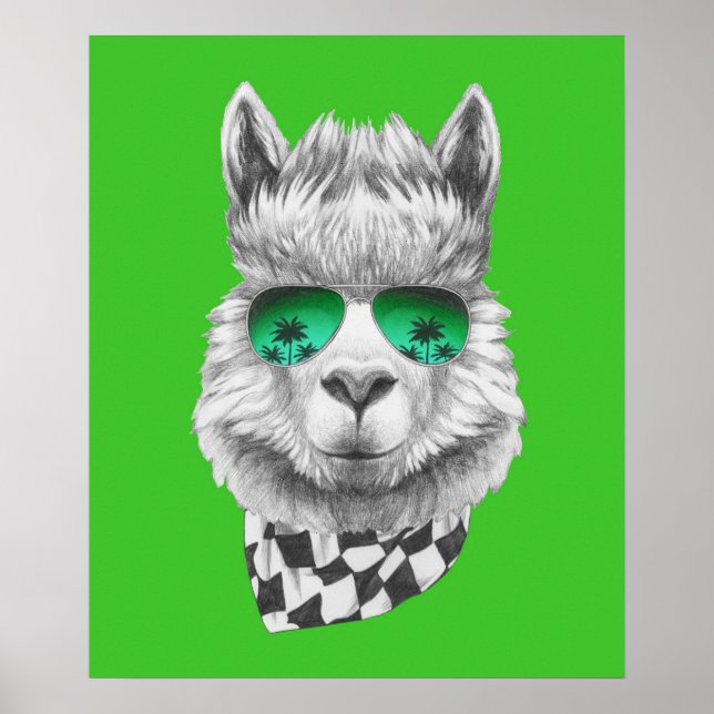 Kalifornisches Lama Poster (Vorne)