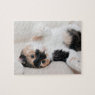 Kaliko-Katze, die zurück auf seine mit den Tatzen Puzzle