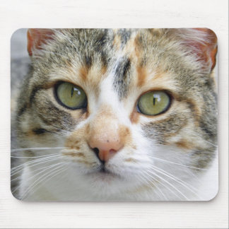 Kaliko-Katze Mousepad