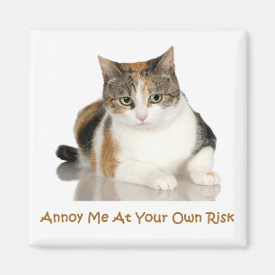 Kaliko-Katze: Stören Sie mich auf eigene Gefahr Magnet