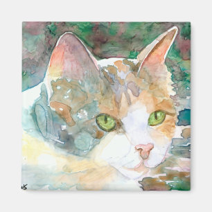 Kaliko-Katzen-Magnet Magnet