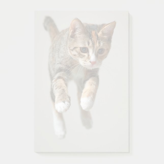 Kaliko-Katzen-Springen Post-it Klebezettel (Vorderseite)