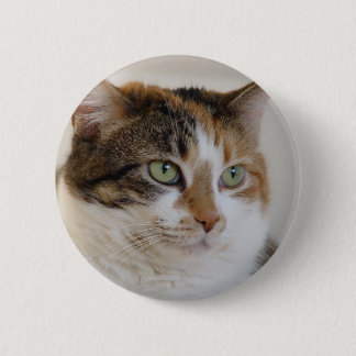 Kaliko Tabbykatzengesicht Button
