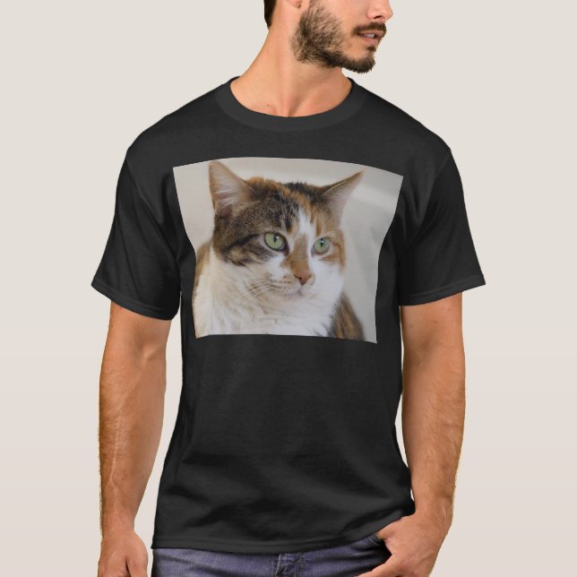 Kaliko Tabbykatzengesicht T-Shirt (Vorderseite)