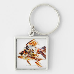 Kalikofantail-Kometen-Goldfisch Schlüsselanhänger