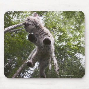 Kalispell, Montana, USA Mousepad
