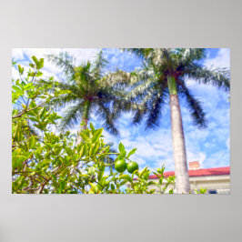 Kalk in Florida Poster