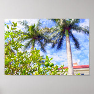 Kalk in Florida Poster