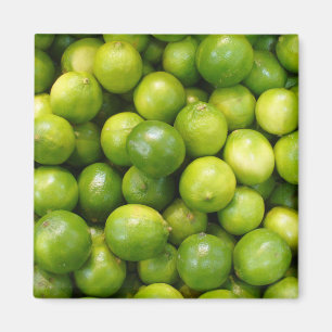 Kalk-Magnet 01 Magnet