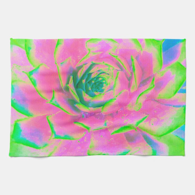 Kalkgrün und rosa Sukkulent Sedum Rosette Geschirrtuch (Horizontal)