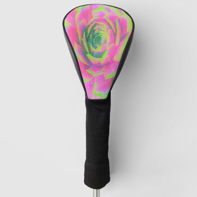 Kalkgrün und rosa Sukkulent Sedum Rosette Golf Headcover (Vorderseite)