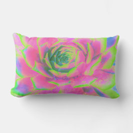 Kalkgrün und rosa Sukkulent Sedum Rosette Lendenkissen