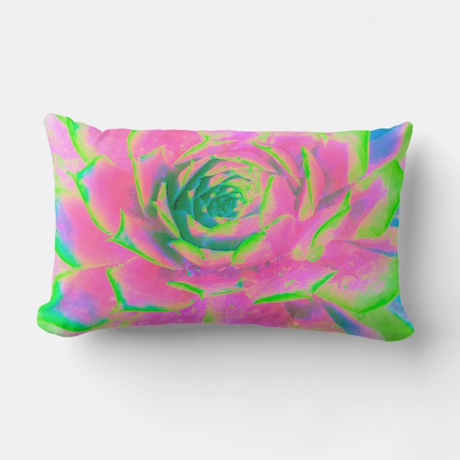 Kalkgrün und rosa Sukkulent Sedum Rosette Lendenkissen (Vorderseite)