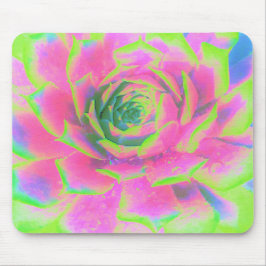 Kalkgrün und rosa Sukkulent Sedum Rosette Mousepad