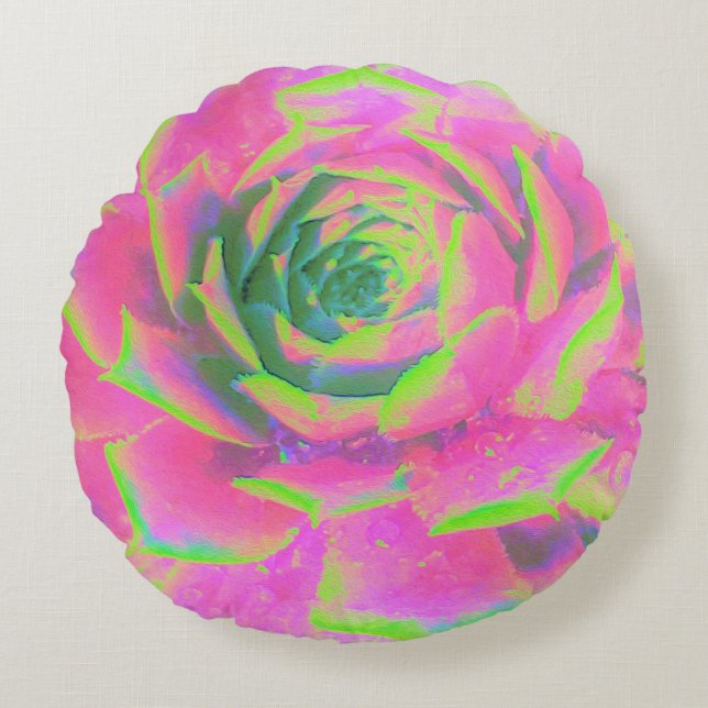Kalkgrün und rosa Sukkulent Sedum Rosette Rundes Kissen (Vorderseite)