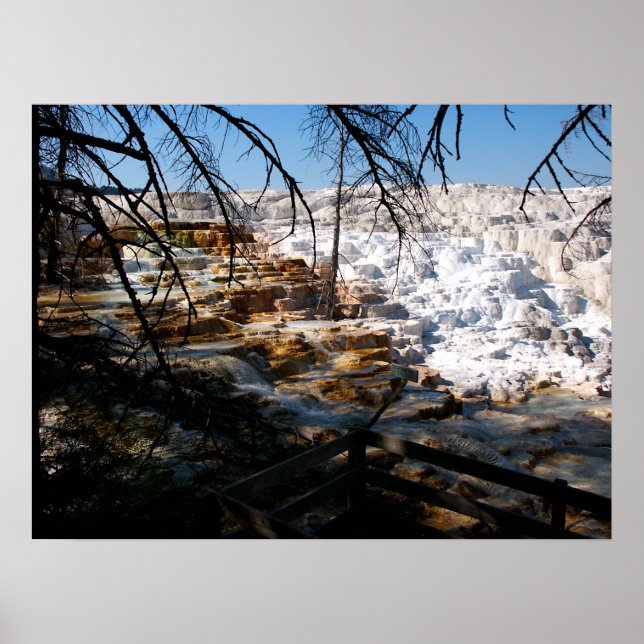 Kalksteinterrasse Mammov Hot Spring Yellowstone Poster (Vorne)