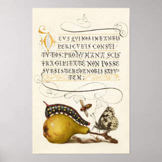 Kalligrafie vergoldet anfänglicher Vintager Birnen Poster