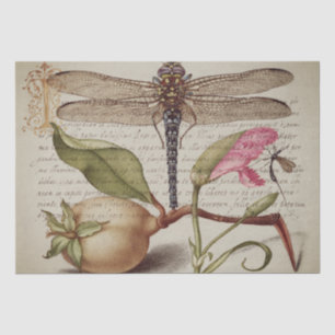 Kalligraphie (Dragonfly, Nelke & Birne) Gewebe Seidenpapier