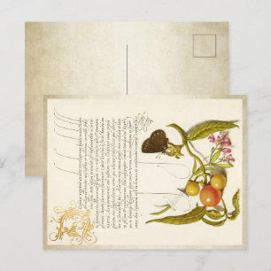 Kalligraphie vergoldete Vintage Pflanze Feiertagspostkarte