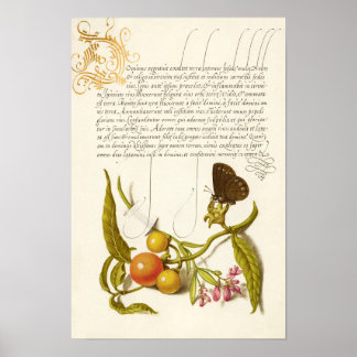 Kalligraphie vergoldete Vintage Pflanze Poster