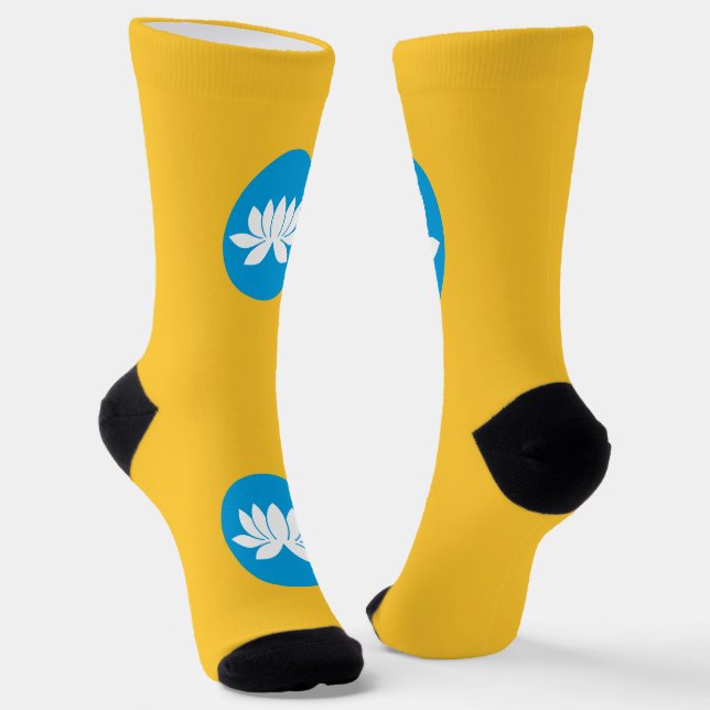 Kalmykia Flag Socken (Gewinkelt)