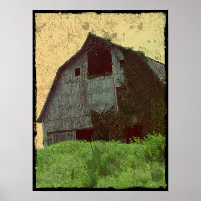 Kalona Barn und Ivy Poster (Vorne)