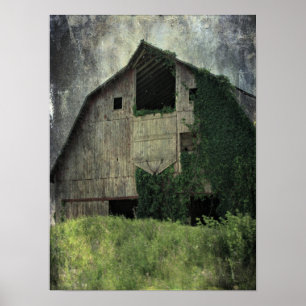 Kalona Barn und Ivy Poster