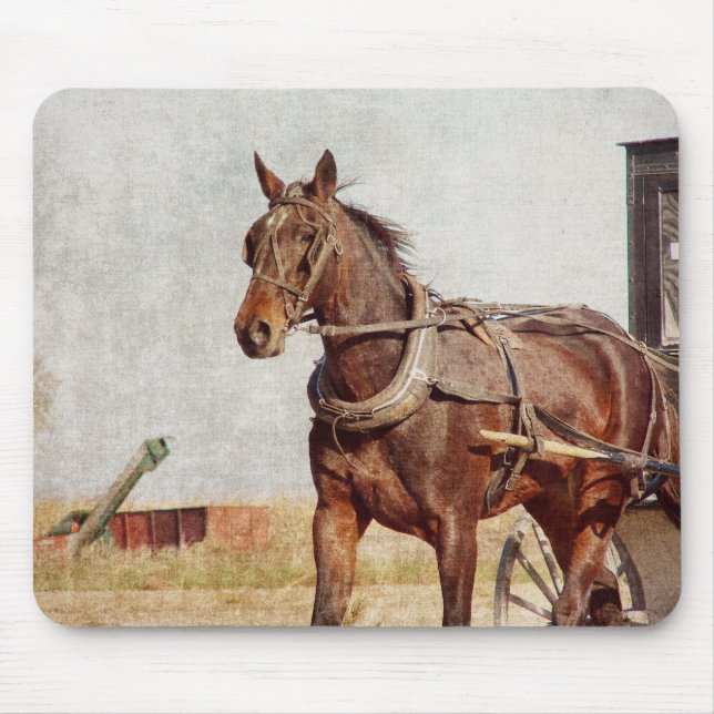 Kalona, Iowa-Abendross und Buggy Mousepad (Vorne)