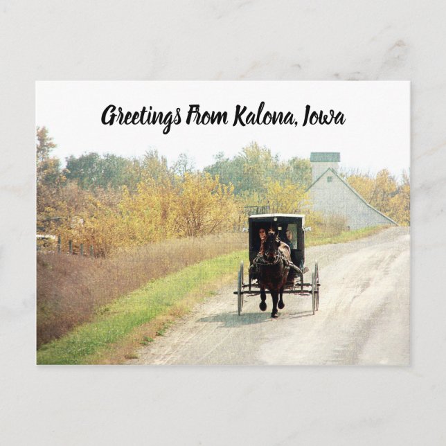 Kalona, Iowa Herbst Abendmahl Pferd und Buggy Postkarte (Vorderseite)