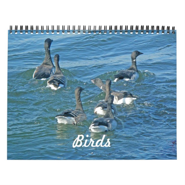 Kalorienvögel Kalender (Titelbild)