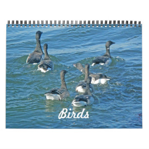 Kalorienvögel Kalender