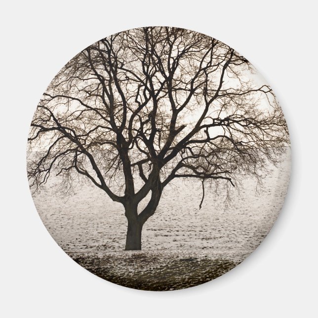 kalt und schön magnet (Vorne)