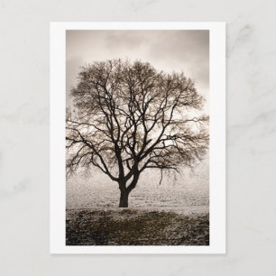 kalt und schön postkarte