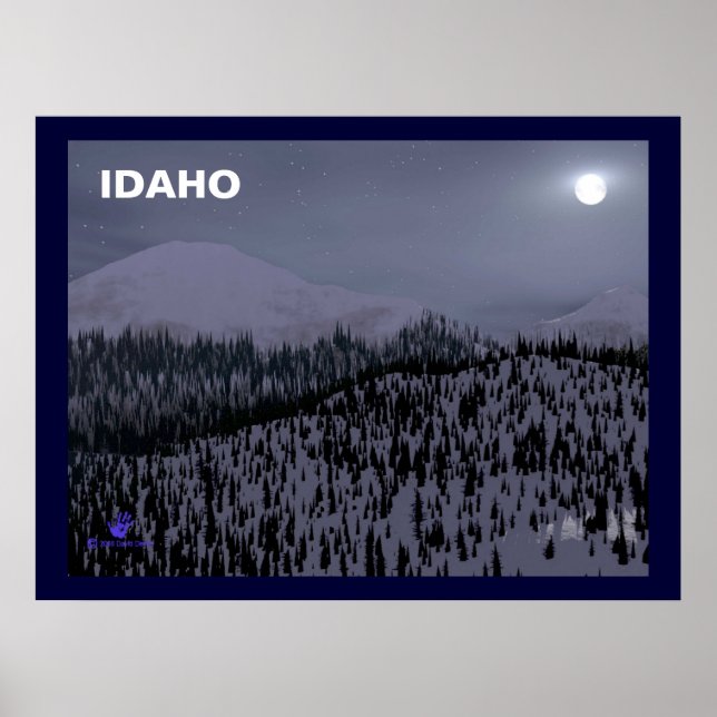 Kalte Nacht in Idaho Poster (Vorne)