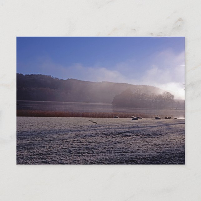 Kalter Wintermorgen Esthwai Water England Postkarte (Vorderseite)