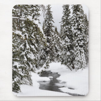 Kaltes Fluss-Fließen Yellowstone Mousepad
