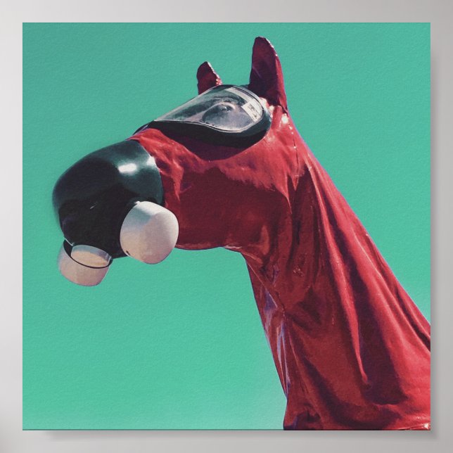 kaltes Pferd Poster (Vorne)