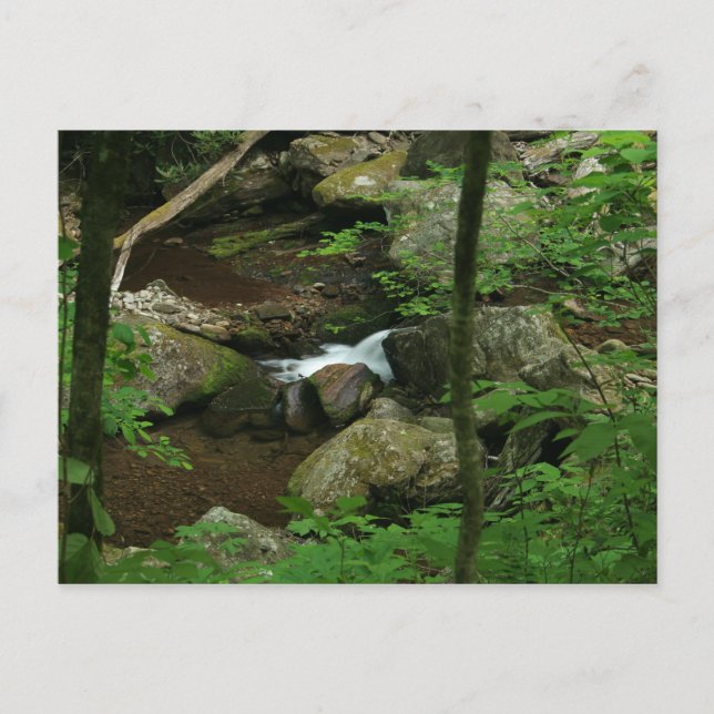 Kaltes Wasser Postkarte (Vorderseite)