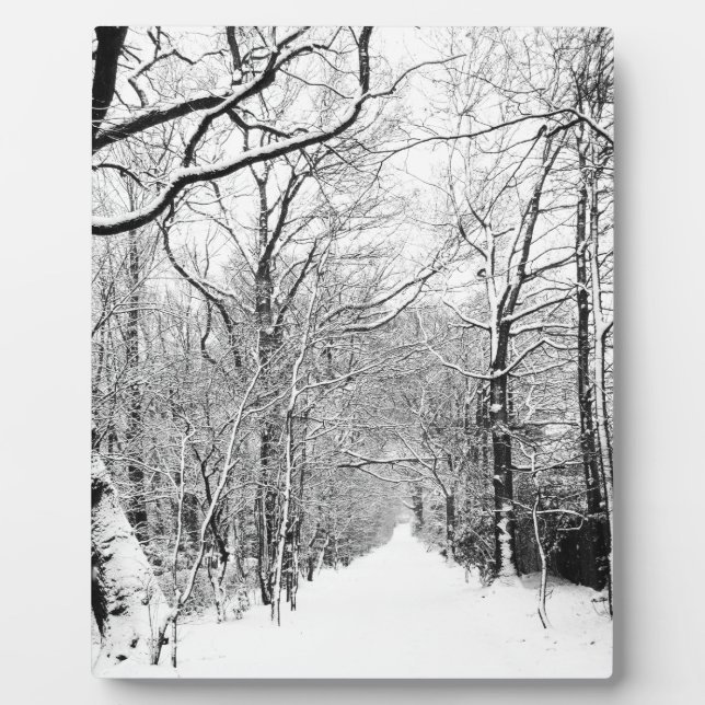 Kaltwald Fotoplatte (Vorderseite)