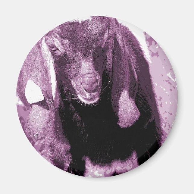 Kalvin 2 magnet (Vorne)