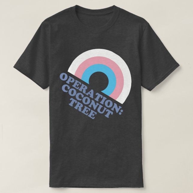 Kamala Harris Coconut Tree Trans Pride Flag T-Shirt (Design vorne)