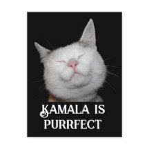 Kamala ist Purrfect