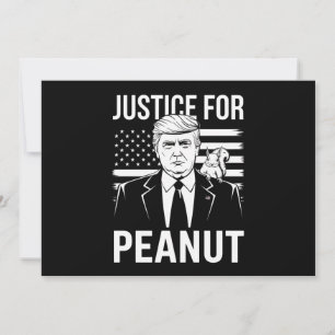 Kamala Trump bei der Wahl 2024 habe ich nicht für Einladung