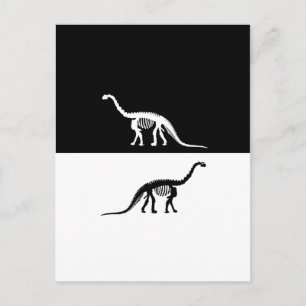 Kamarasaurus-Skelett Postkarte