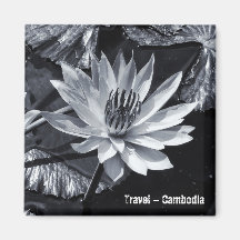 Kambodscha - Lotus Blume BW (Kühlschrankmagnet)