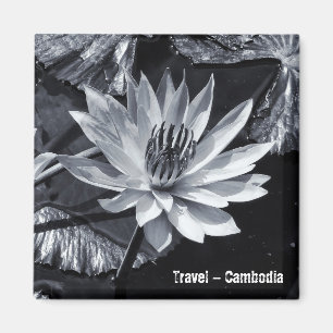 Kambodscha - Lotus Blume BW (Kühlschrankmagnet) Magnet
