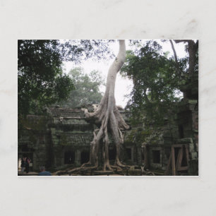 Kambodschanischer Tempel im Dschungel Postkarte