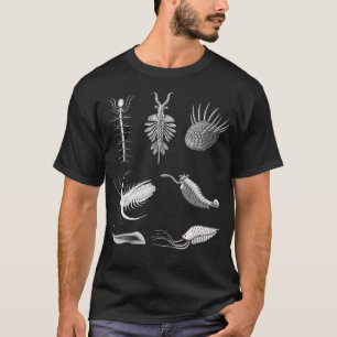Kambrium Kreaturen Fossil Paläokunst Evolution Wis T-Shirt