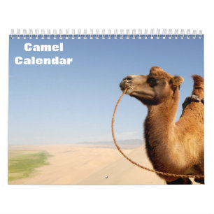 Kamel 2027 Kalender